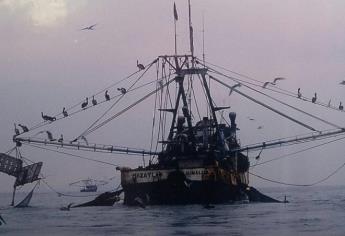 Exhorta Senado a la Semar a evitar pesca ilegal