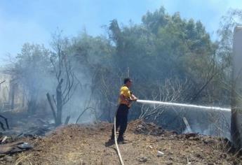 Se incendia solar baldío en la Scally