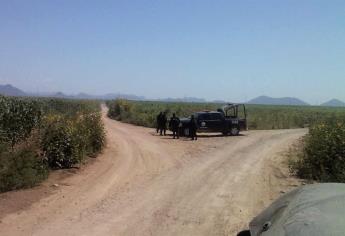 Hallan a 3 sonorenses muertos en Mocorito