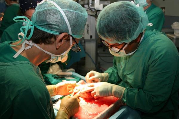 Sinaloa podría ser pionero en trasplante de pulmón