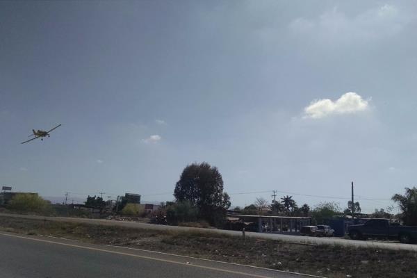 Piloto de avioneta ya fue identificado y podría perder su licencia
