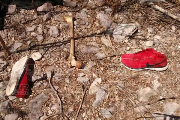 Investigan si osamenta corresponde a hijo de regidor de El Fuerte