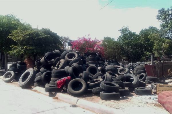 Llantas acumuladas causan enfermedades en la colonia Estrella