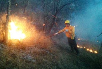 Se disparan los incendios forestales en Sinaloa
