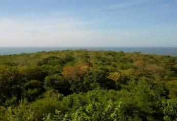 Planean inversión en la Meseta de Cacaxtla