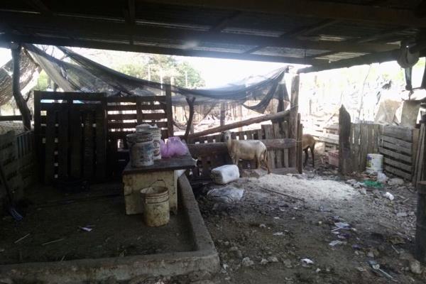 Acusan ganaderos que el abigeato queda impune en Ahome