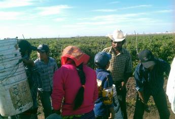 Retienen a 50 indígenas en un rancho de Vizcaíno, BCS