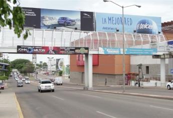 Puentes peatonales, estructuras ignoradas