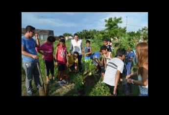 Encabeza Villaescusa campaña de reforestación en Mazatlán