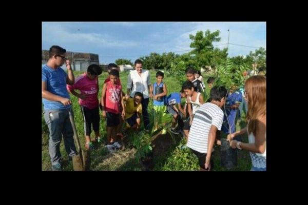 Encabeza Villaescusa campaña de reforestación en Mazatlán