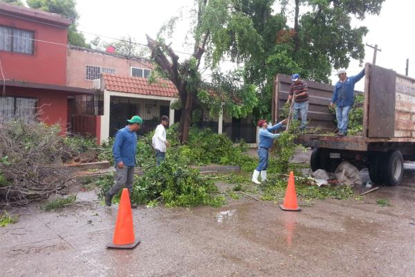 Jubilaciones con años en espera, podrían quedar antes de diciembre