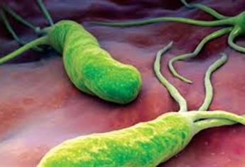 Entre 50 y 70% de mexicanos padece Helicobacter Pylori