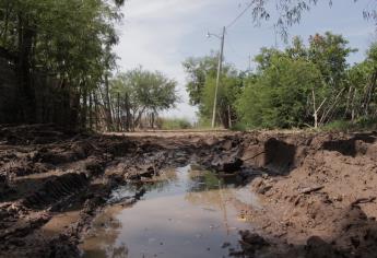 Ya no aguantan los moscos ni jejenes en el Estero de JJR