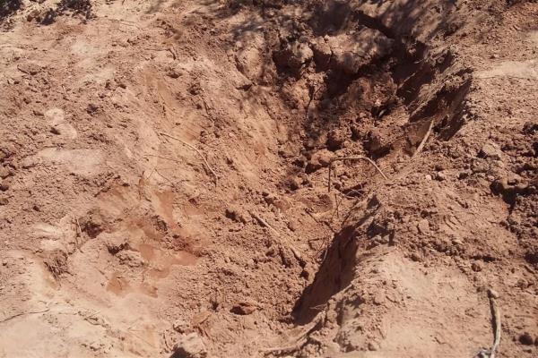 Ya son 8 cuerpos encontrados por Rastreadoras en Tosalibampo