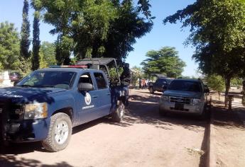 Investiga MP homicidios en la sierra