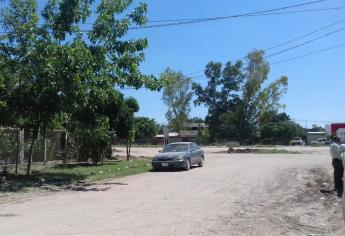 Aquí no es Cortines, es cochines, vivimos en un chiquero