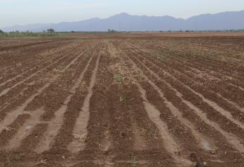 Productores defenderán “con todo” el presupuesto: Bosco de la Vega