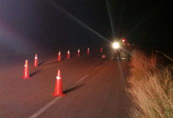 Muere fortense tras caer de su caballo