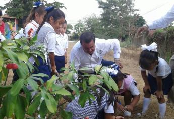 Reforestan preescolar Ángela Peralta en Mazatlán