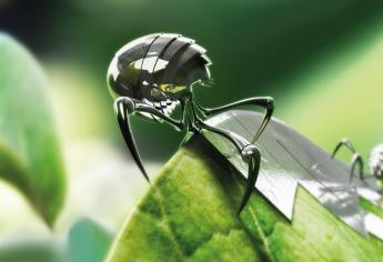 Nanotecnología, opción para proteger el medio ambiente