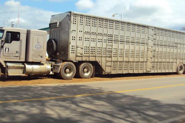 En breve iniciará operaciones la caseta fitosanitaria La Concha II