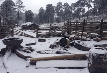 La Rosilla, Durango, registra temperatura de -14°C