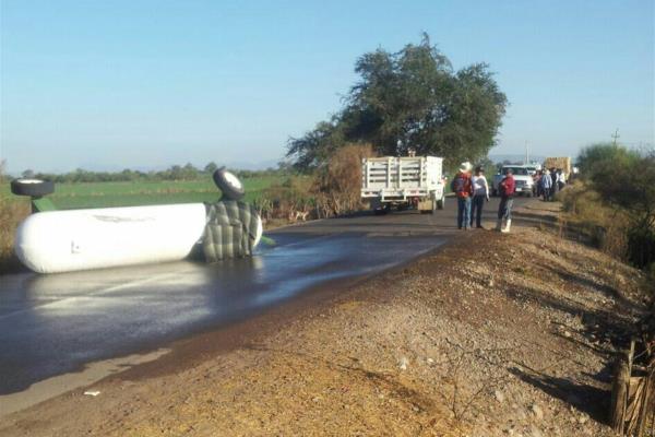 Fuga de amoniaco mata a 30 borregos y chivos