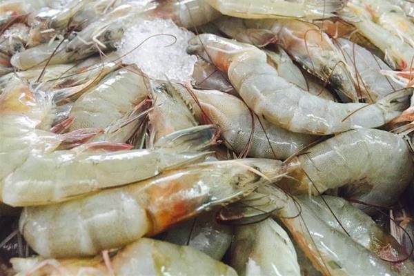 El 20 de marzo entra en vigor la veda del camarón