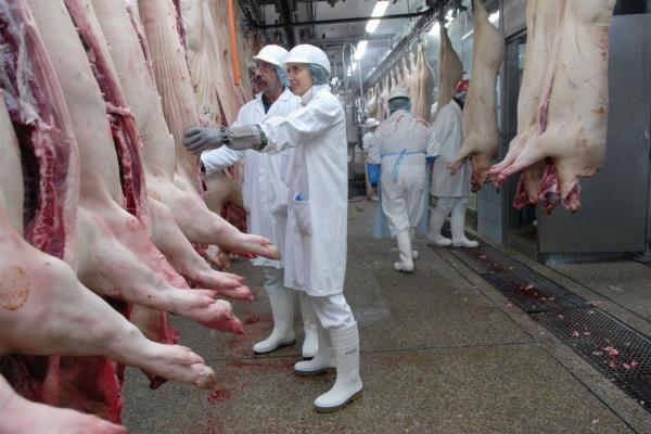 México voltea a Japón y Corea para expandir ventas agropecuarias