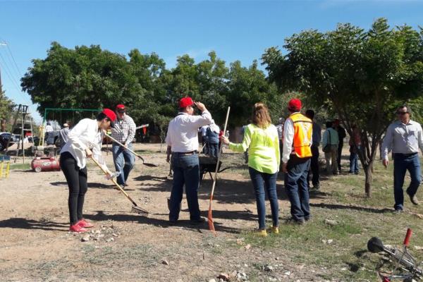 Abejas atacan a funcionarios de Ahome
