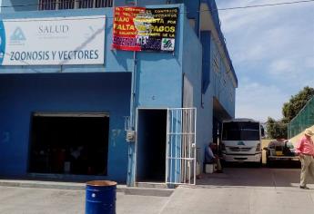 Siguen sin pago en Vectores de Mazatlán, trabajan bajo protesta