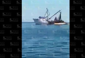 Barcos sardineros de Sonora saquean camarón en Topolobampo