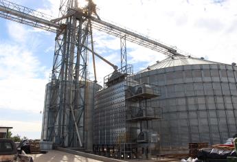 Piden mano dura contra bodegueros de granos