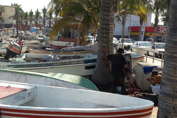 Aflora conflicto entre pescadores y parachutero influyente en Playa Norte
