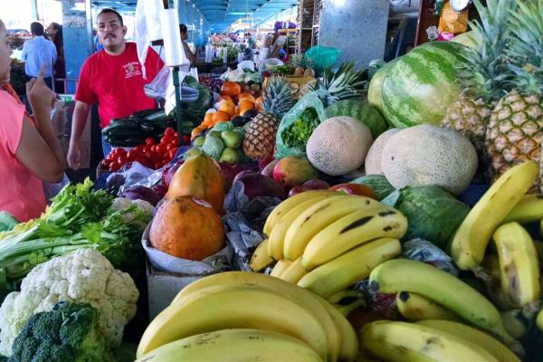 Celulares medirán con app madurez de frutas y verduras