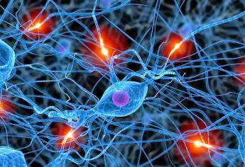 Golpes en la cabeza provocan pérdida de neuronas