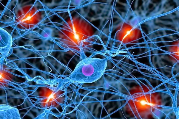 Golpes en la cabeza provocan pérdida de neuronas