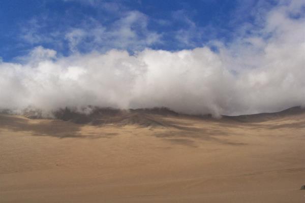 Plantean colectar niebla para generar agua en desierto cerca de Ensenada