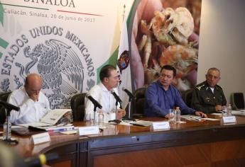 Analiza Gabinete de Seguridad Nacional estrategias para 50 municipios