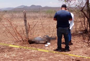 Localizan cadáver dentro de una parcela en El Salado