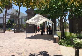 Abejas atacan a tres niños en el Parque Sinaloa