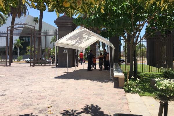 Abejas atacan a tres niños en el Parque Sinaloa