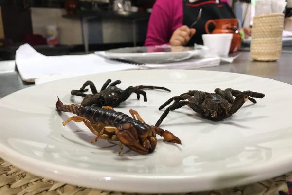 Arañas con sabor a maíz, proteína exótica en el Mercado de San Juan