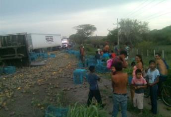 Vuelca tráiler con toneladas de mango; el chofer resulta lesionado