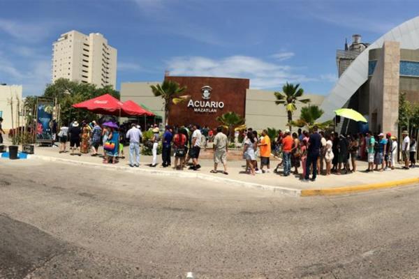 Reportan casa llena en el Acuario Mazatlán