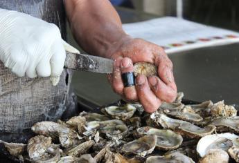 Exhorta Coepriss evitar consumo de moluscos de la bahía de Ohuira