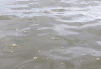 Es marea roja y no deshechos fecales, mancha en bahía de Ohuira: Coepriss