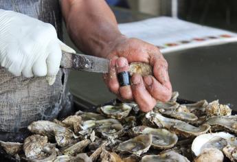 Levantan veda sanitaria en bahía de Ohuira