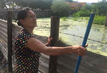 Viven junto a fosa de agua sucia en Culiacán