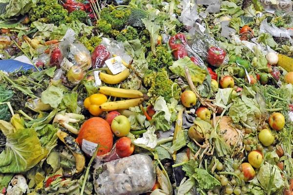 A la basura, un tercio de alimentos producidos en el mundo